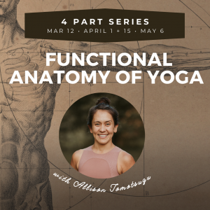 Functional Anatomy of Yoga Series