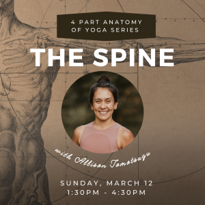 Anatomy of the Spine