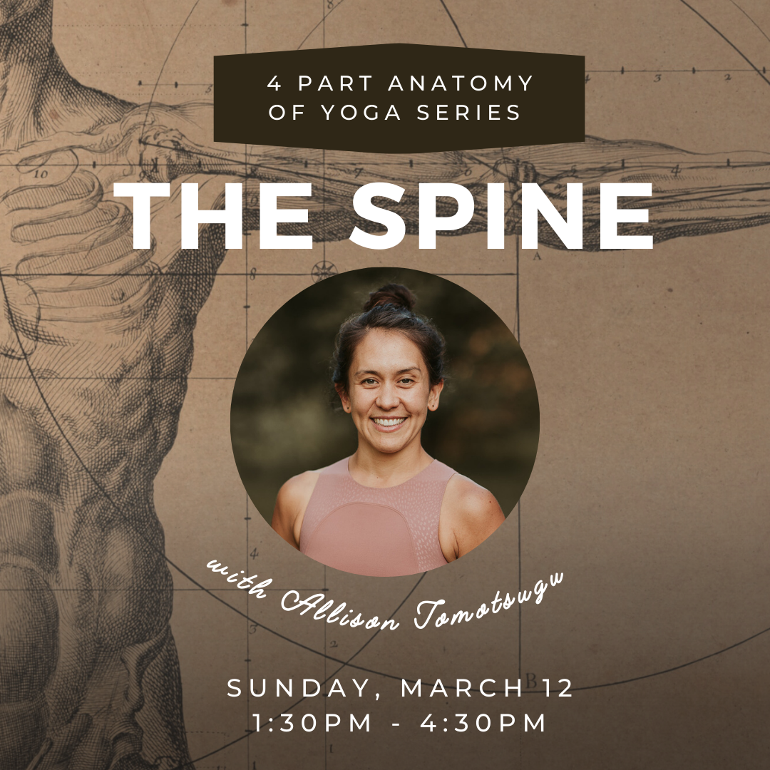 Anatomy of the Spine Workshop, with Ally Tomotsugu