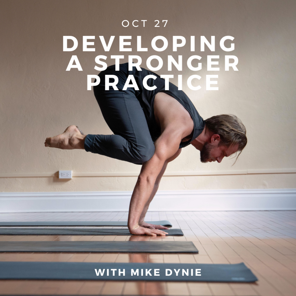 Workshop - Developing a Stronger Practice with Mike Dynie